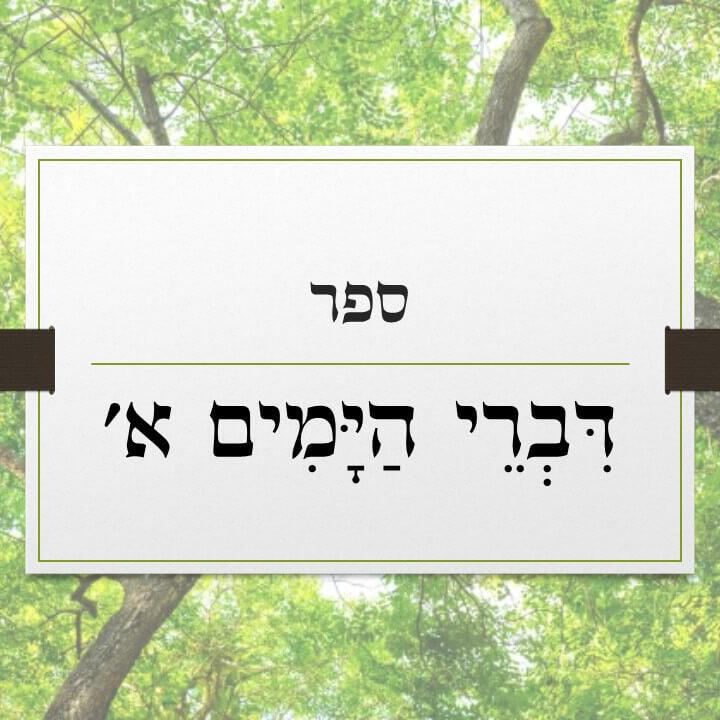 דברי הימים א