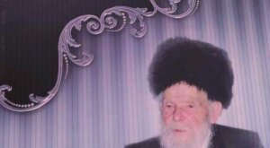 כריכת הספר הגאון החסיד - שימוש הוגן - חתוך