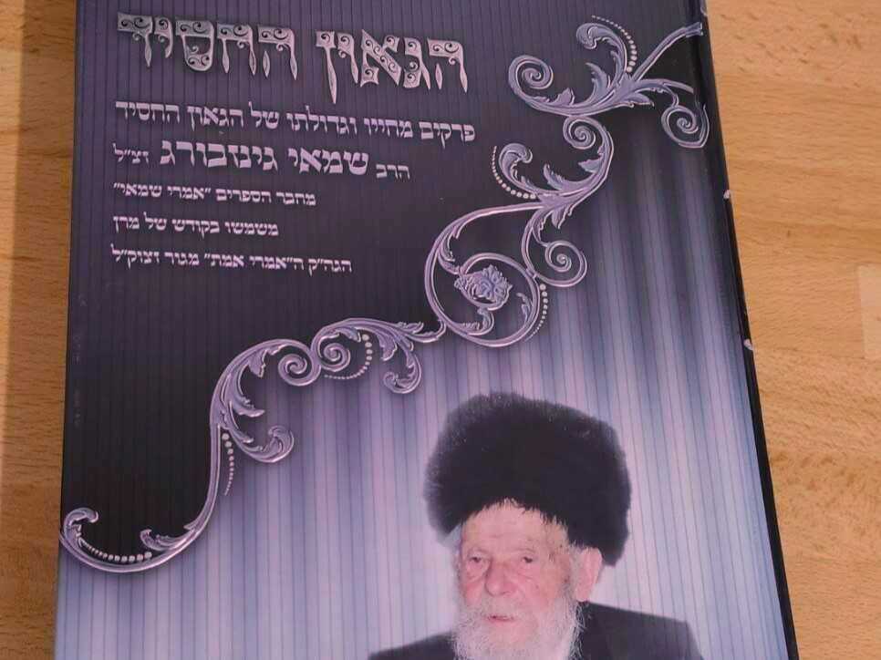 כריכת הספר הגאון החסיד - שימוש הוגן - חתוך