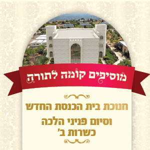 מוסיפים קומה לתורה