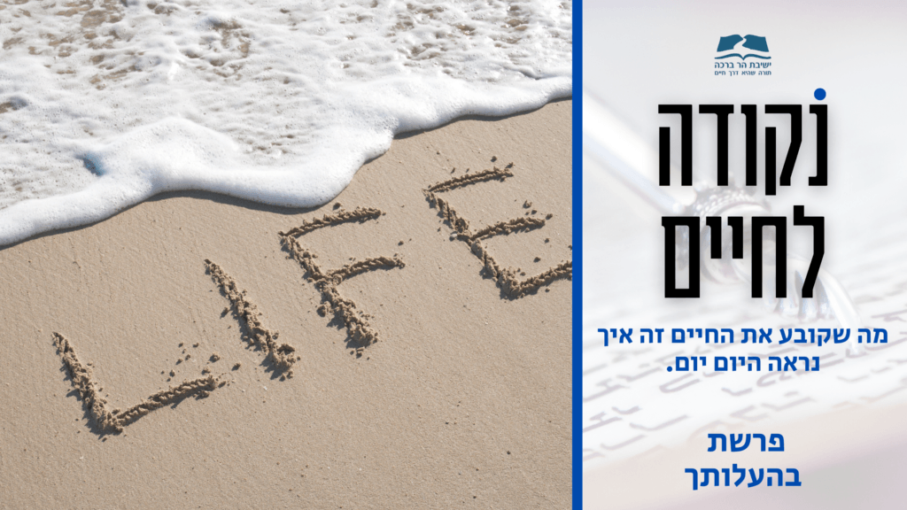 סרטון נקודה לחיים לפרשת בהעלותך