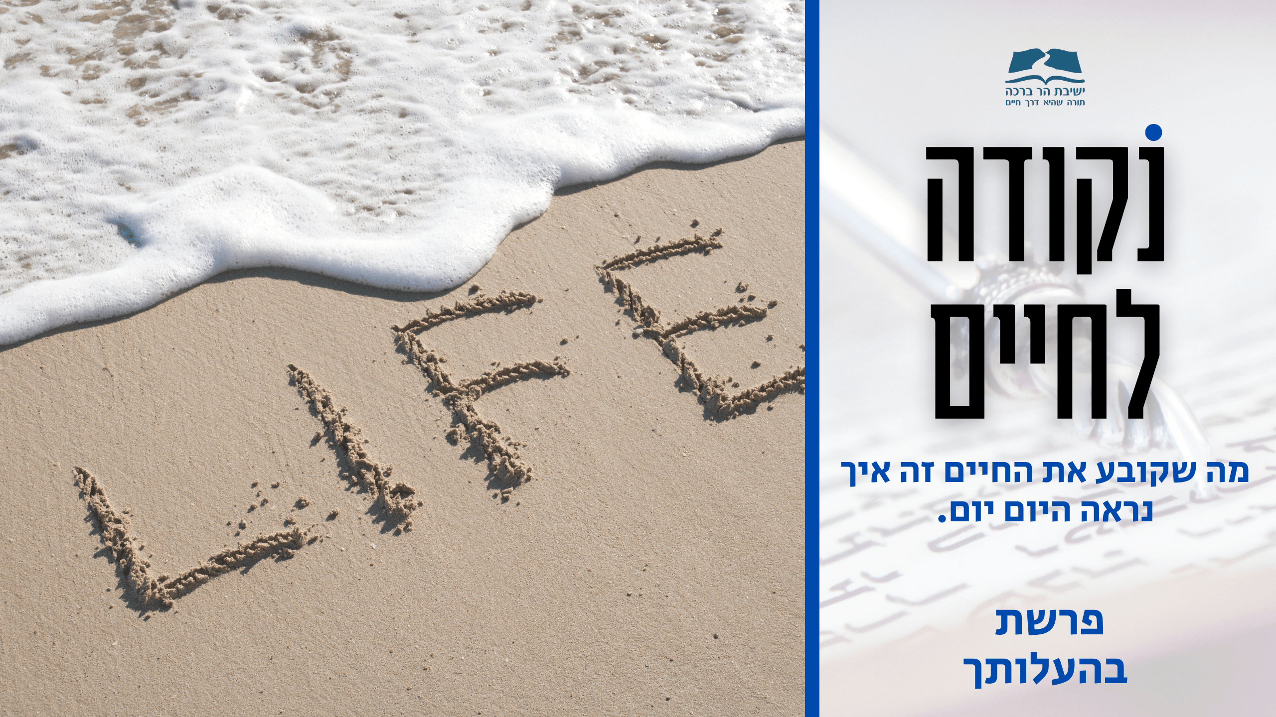 סרטון נקודה לחיים לפרשת בהעלותך