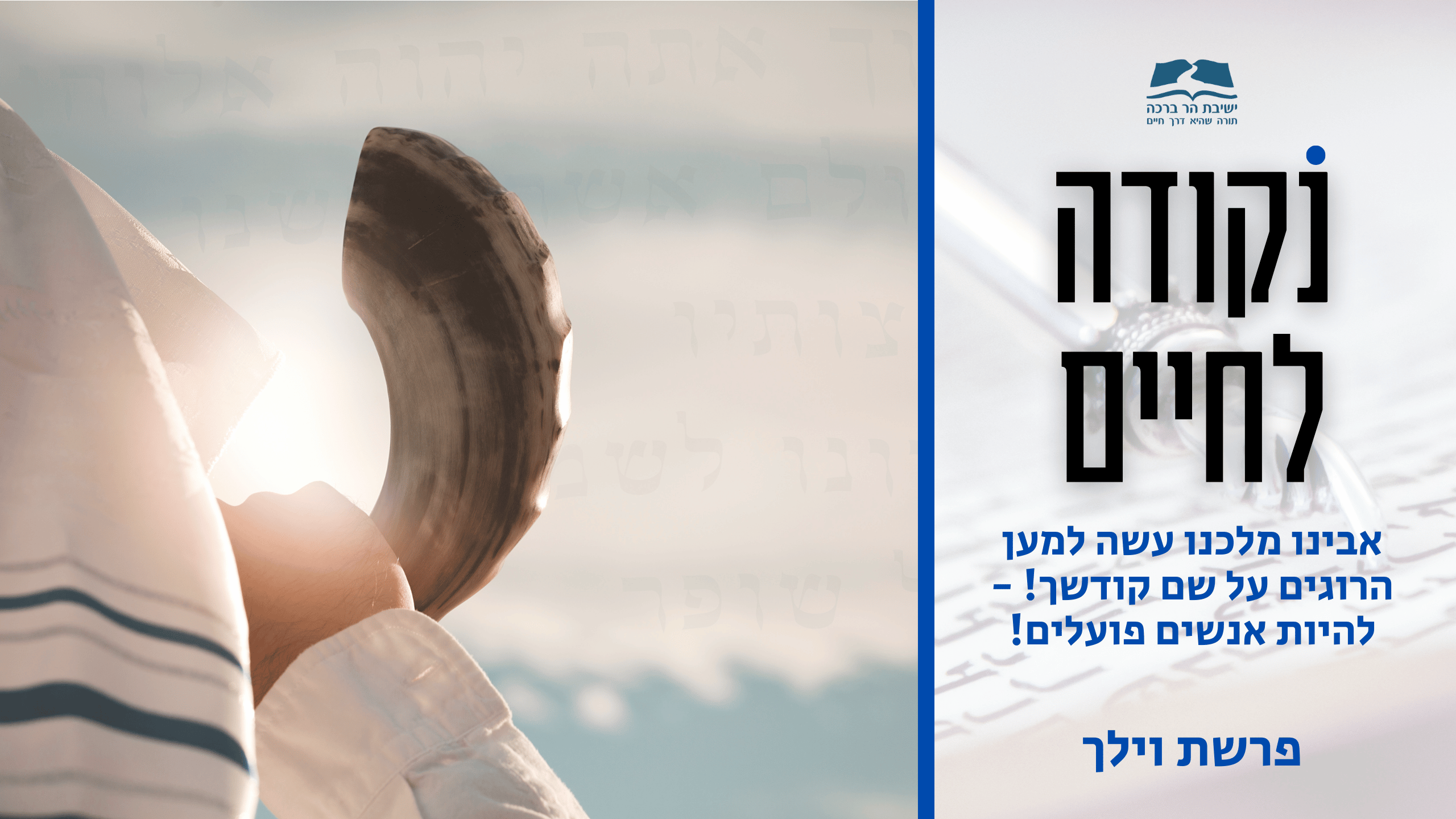 לפרשת וילך תשפו