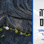 פרשת--חיי-שרה-תשפו קאבר