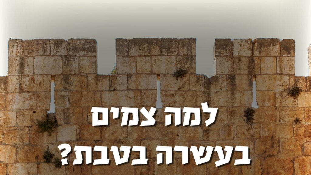 למה צמים בעשרה בטבת? הרב גור גלון