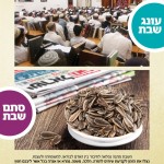 פרסום ל6 שעות בשבת