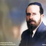 רביבים 1169 - הצצה אל דמותו של הרב אברהם פרייס זצ"ל